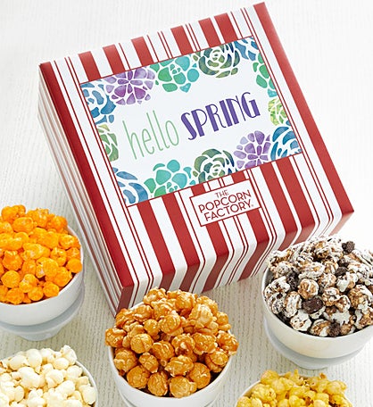 Packed With Pop® Spring Succulents