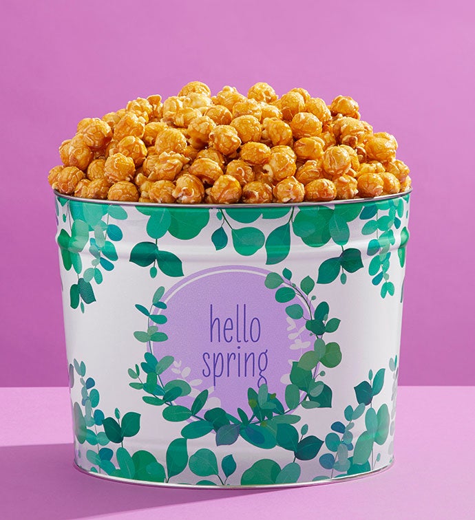 Succulent Garden 2 Gallon Pick a Filling Popcorn Tin