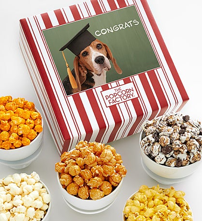 Packed With Pop® Congrats Dog