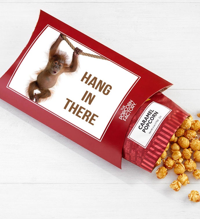 Cards With Pop® Hang In There