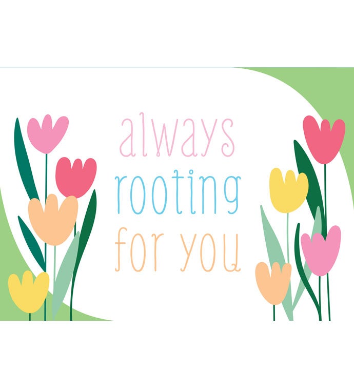 Tins With Pop® 4 Gallon Always Rooting For You