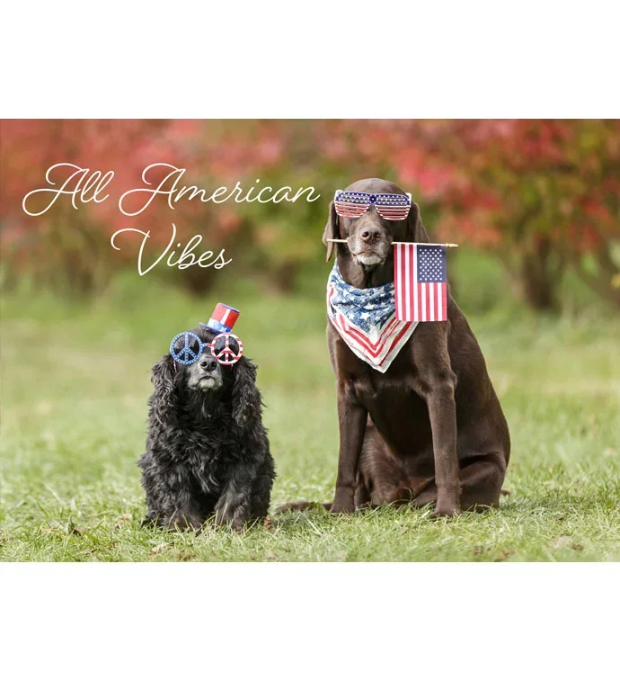Packed With Pop® All American Vibes With Dogs 