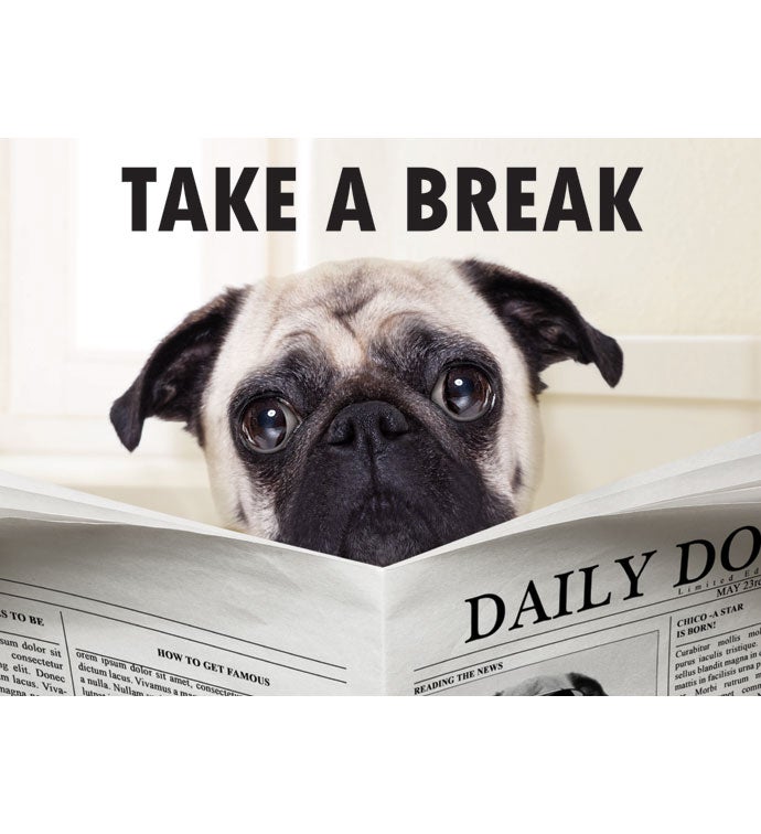 Packed With Pop® Take A Break Dog